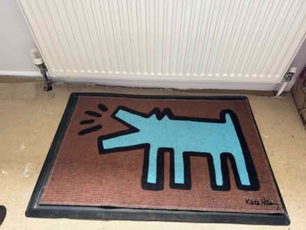 Photo of free Doormat (Stroud Green N4) #2