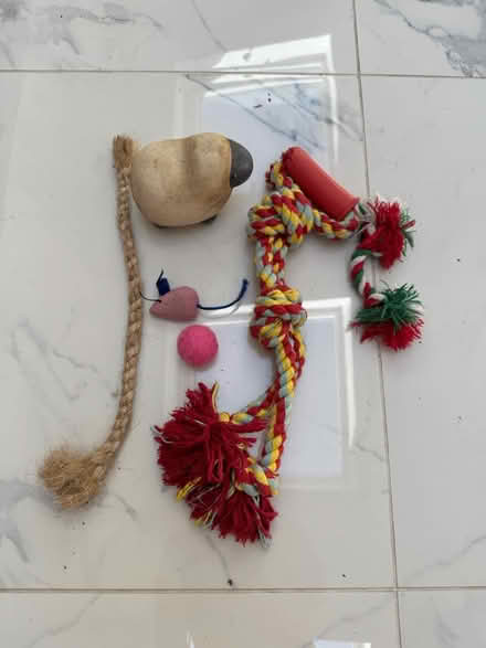 Photo of free Dog and cat toys (Penn HP10) #1