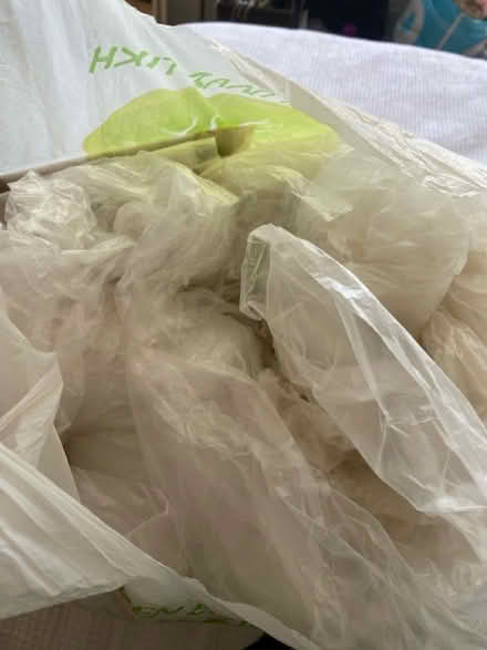 Photo of free Dust sheets (Herne Hill, SE24) #1