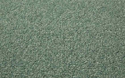 Photo of free Carpet for pond liner or weed suppression (Brimfield SY8) #2
