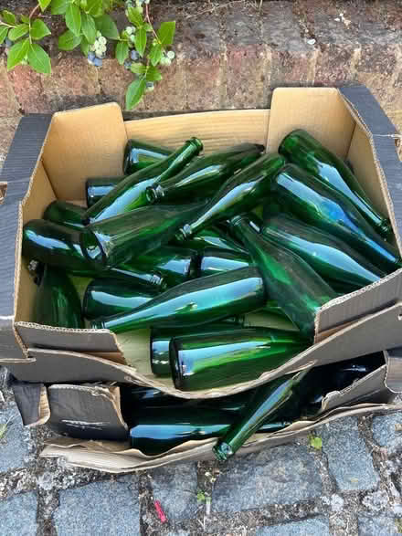 Photo of free Green Belgium Beer Bottles 50+ (London Colney AL2) #1