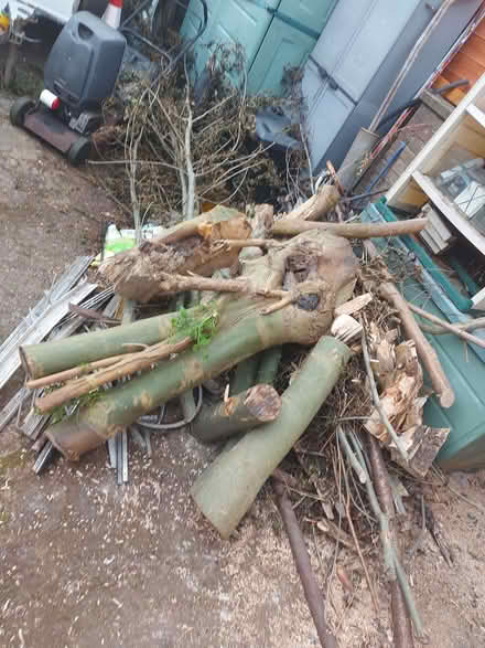Photo of free Tree Wood for burning (Guide Bridge OL7) #1