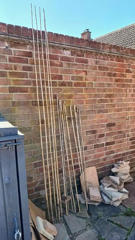 Photo of free Bamboo canes (Theale RG7) #1