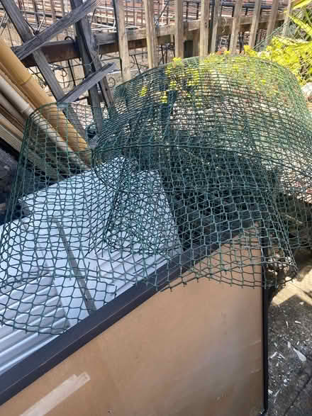 Photo of free Green plastic garden netting (Stamford Brook) #2