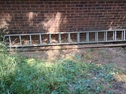Photo of free Ladder (CT2) #1