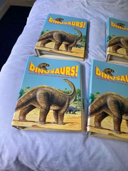 Photo of free Collection of dinosaur magazines in binders (Dursley GL11) #1