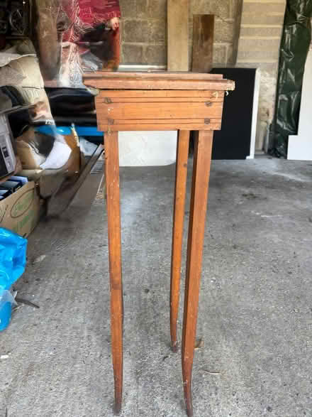 Photo of free Aspidestra stand (burton bradstock) #1