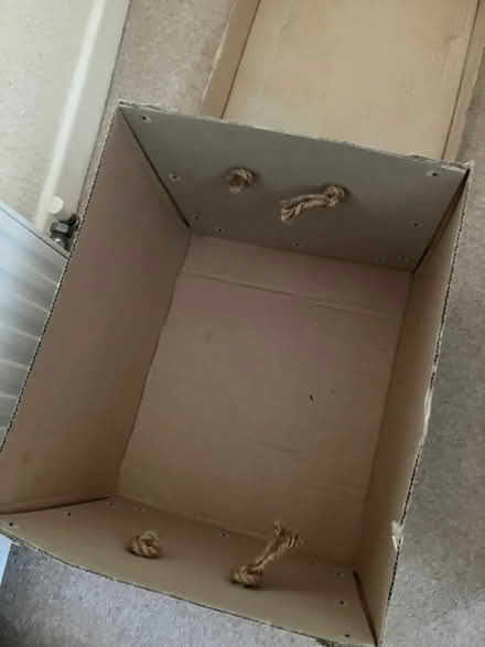Photo of free Very strong trunk like box (Chipping Sodbury BS37) #2