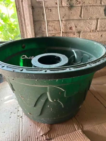 Photo of free Christmas tree support (Loose) #1