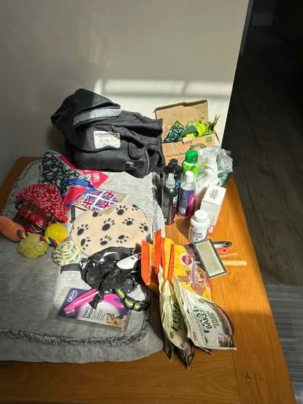 Photo of free Dog care (S17) #1