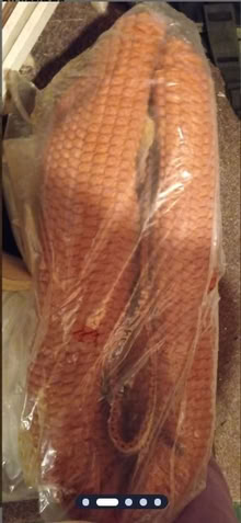 Photo of free New underlay (IP27) #2