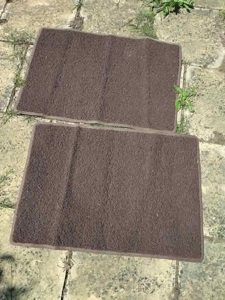 Photo of free Pair of Mats (Mead Vale area, BS22) #1