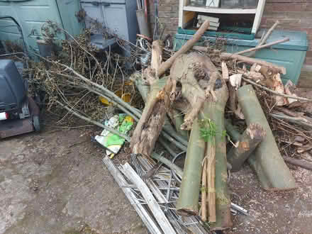 Photo of free Tree Wood for burning (Guide Bridge OL7) #2