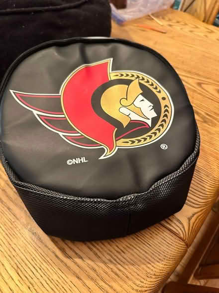 Photo of free senators lunch bag (Beaverbrook) #1