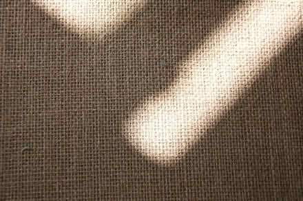 Photo of free Carpet for pond liner or weed suppression (Brimfield SY8) #1