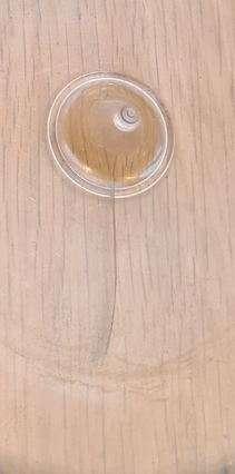 Photo of free Salad spinner (Headington OX3) #3