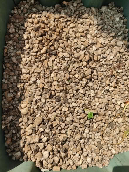 Photo of free Gravel / decorative pebbles (North Watford) #2