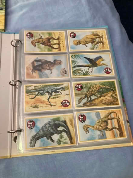 Photo of free Collection of dinosaur magazines in binders (Dursley GL11) #2