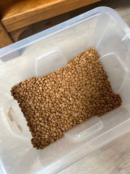 Photo of free Dog care (S17) #2