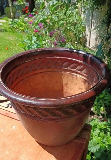Photo of free Large plant pot (Hailsham) #1