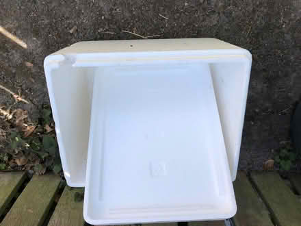 Photo of free Polystyrene box (Blewbury OX11) #1
