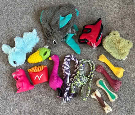 Photo of free Used dog toys and chew bones (Selhurst) #1