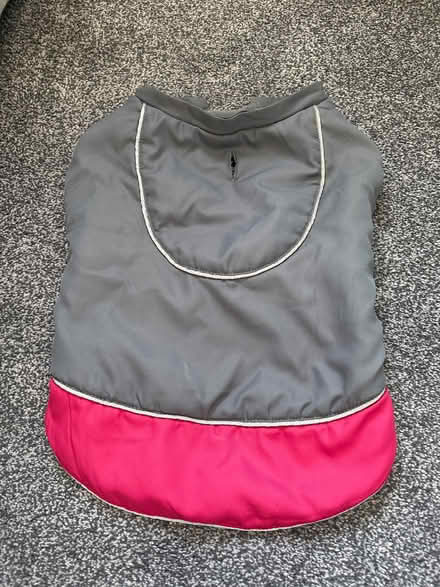 Photo of free Dog raincoat (Leighton Buzzard LU7) #2