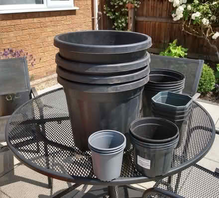 Photo of free Plastic plant pots (Wisbech PE13) #1