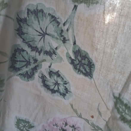 Photo of free Tie top curtains (Hailsham BN27) #2