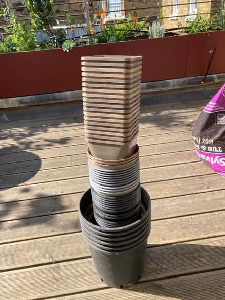 Photo of free Plastic plant pots (Bloomsbury) #1