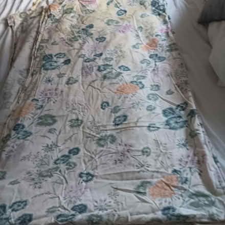 Photo of free Tie top curtains (Hailsham BN27) #1