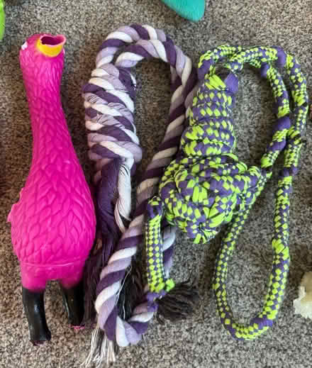 Photo of free Used dog toys and chew bones (Selhurst) #3