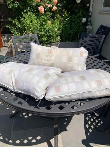 Photo of free Feather cushions 70 cm x 40 cm (Melbourne CM1) #1