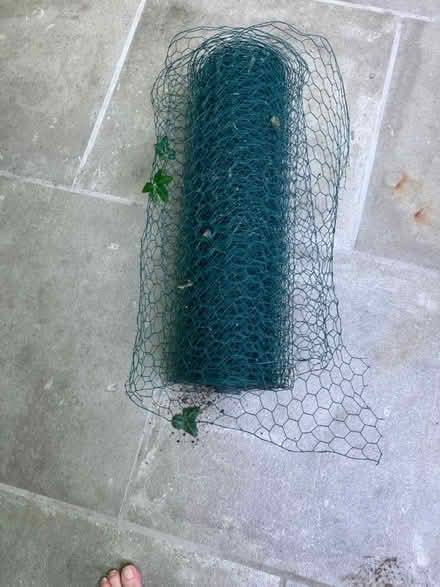 Photo of free Chicken wire (Highbury, N5) #2