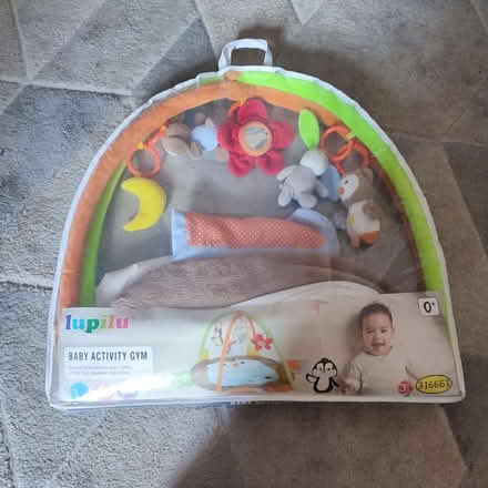 Photo of free Lupi Lou baby activity play mat (Carlisle CA2) #2