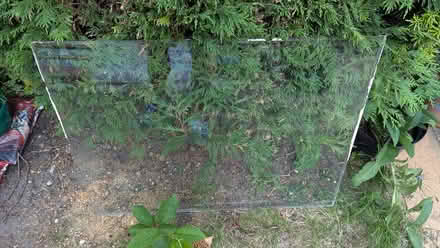 Photo of free Glass panes (Bromley BR2) #1