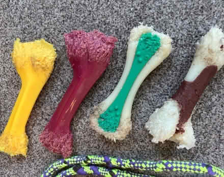 Photo of free Used dog toys and chew bones (Selhurst) #2
