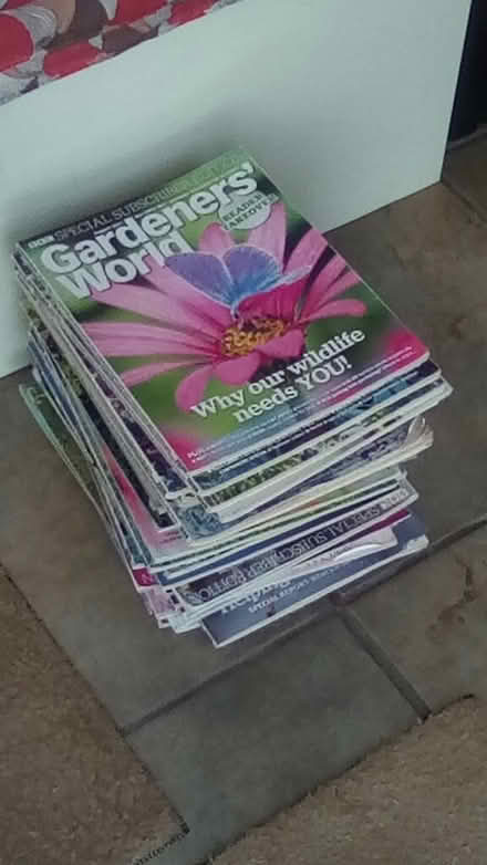 Photo of free Floor lamp, Gardeners World mags (Hitchin SG4) #2