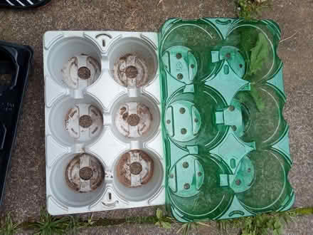 Photo of free Trays for flower pots (Askham CA10) #1