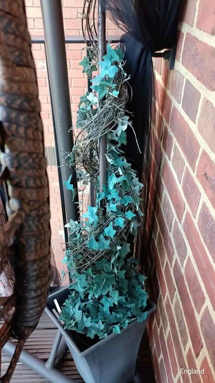 Photo of free Fake ivy in planters x2 (B64, Cradley Heath) #2