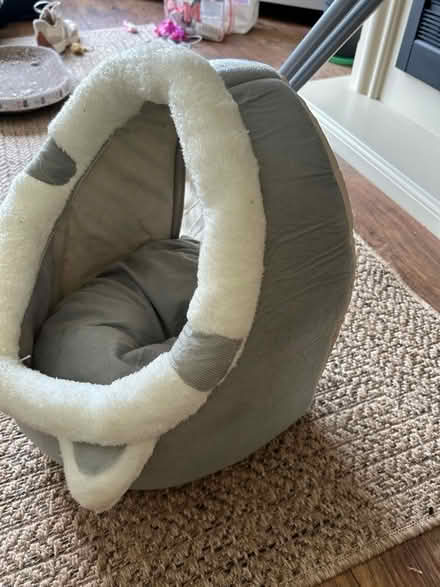 Photo of free Cat bed . Cat scratch play bed cardboard (Bannockburn FK7) #1