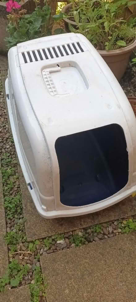 Photo of free Large cat litter tray (Woodseats S8) #1
