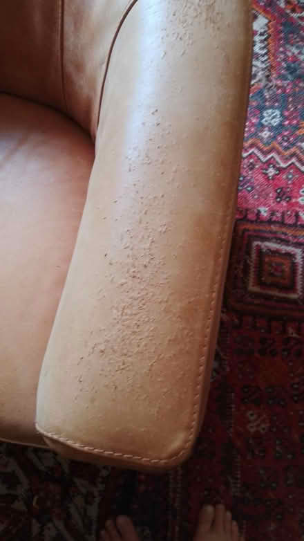Photo of free Leather chair (Summertown OX2) #2