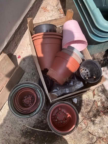 Photo of free Plastic plant pots - various (Highbury, N5) #1