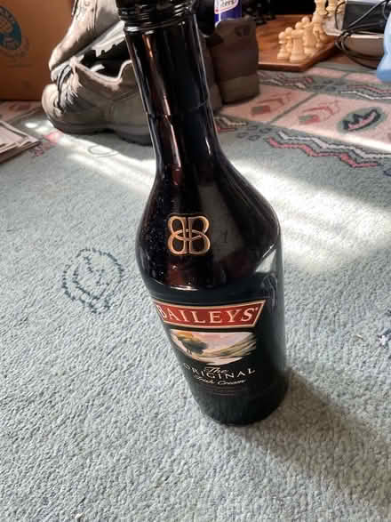 Photo of free Bottle of Baileys liquor (Limbury LU3) #1