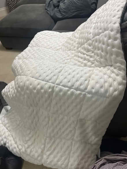 Photo of free Zoey brand twin bed mattress topper (Ravenswood) #1