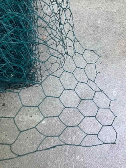 Photo of free Chicken wire (Highbury, N5) #1