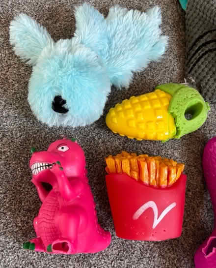 Photo of free Used dog toys and chew bones (Selhurst) #4