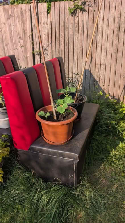 Photo of free Household Goods (Mill Hill, The Hale HA8) #4