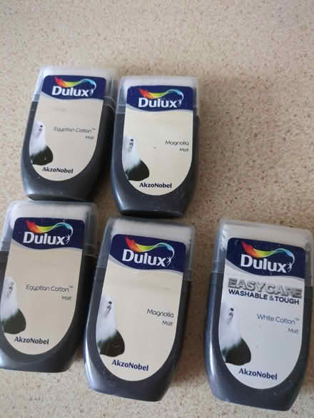 Photo of free Assorted paint testers (Bengeo, Hertford SG14) #1